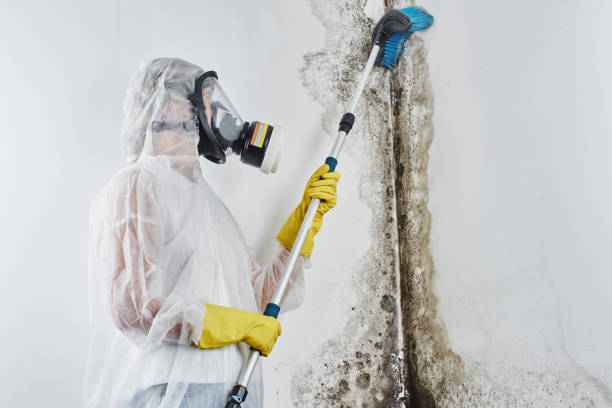 Best Commercial Mold Inspection  in Monmouth, OR